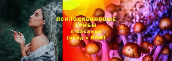 прущая мука Алзамай