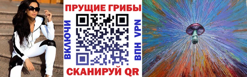 Галлюциногенные грибы Psilocybe  Бахчисарай 